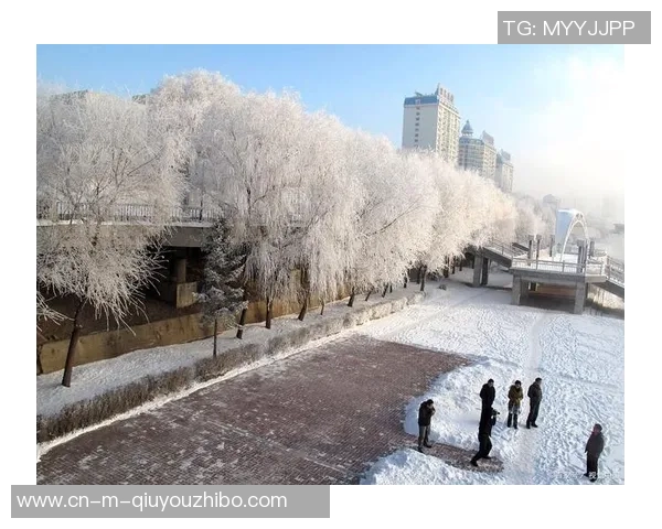 长春吧的魅力与挑战探讨如何在城市发展中寻找平衡与机遇 长春吧的魅力与挑战探讨如何在城市发展中寻找平衡与机遇